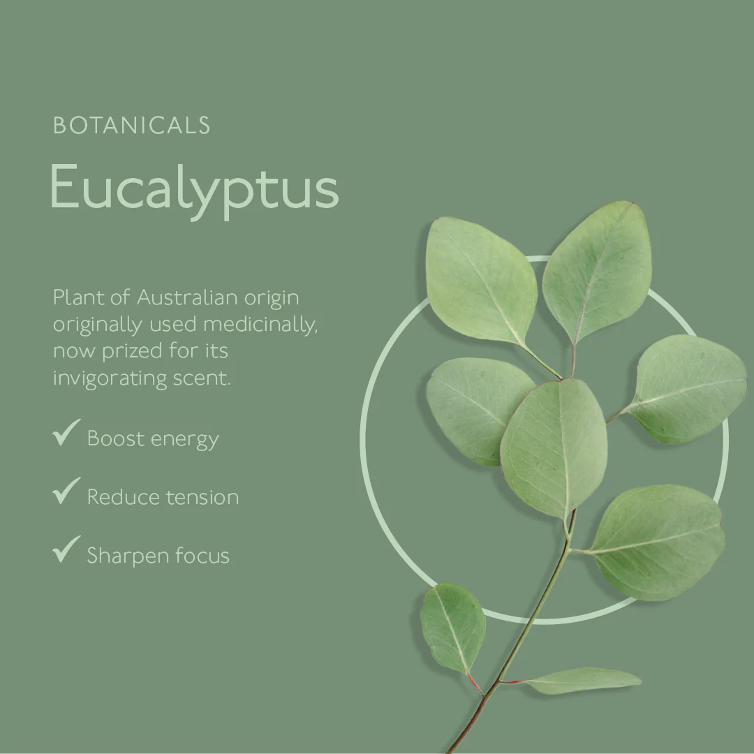 Awaken Mint & Eucalyptus Natural Shampoo - Image 6