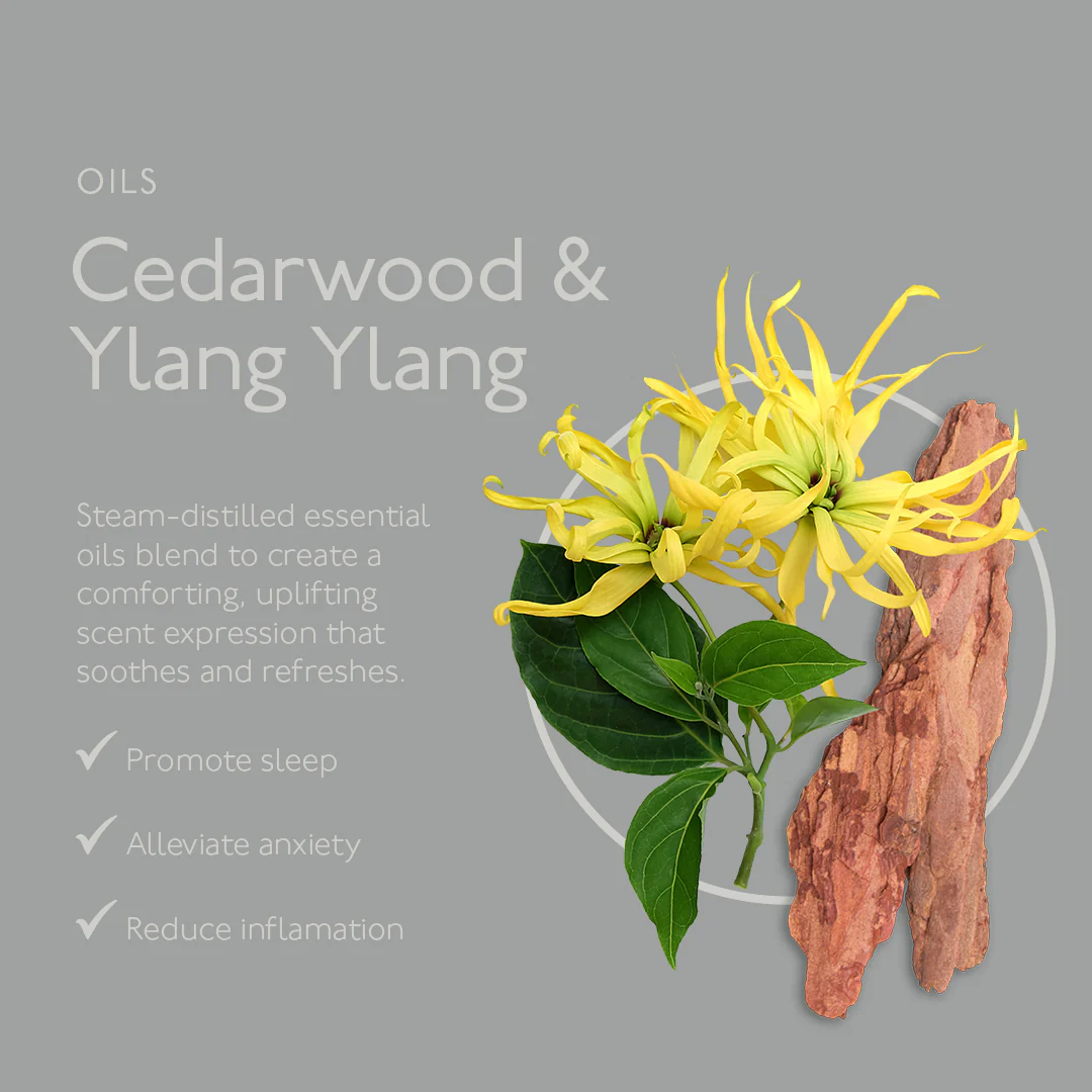 Renew Cedarwood & Ylang Ylang Natural Soap Bar - Image 5
